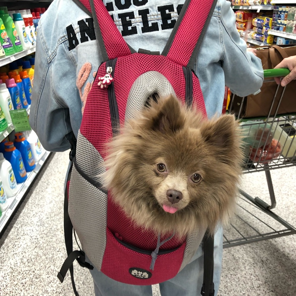 Pet Carrier Backpack 🎒